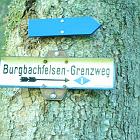 Kniebis 2009 Bild 26